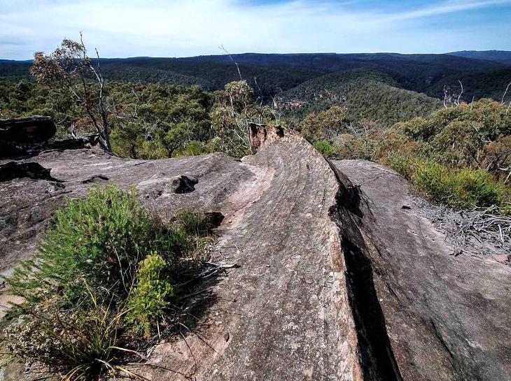 ceilingistheroof | Wollangambe Wilderness: The remote beauty of Wollangambe Wilderness.