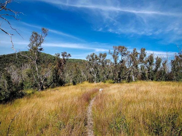 ceilingistheroof | Wollangambe Wilderness: The remote beauty of Wollangambe Wilderness.