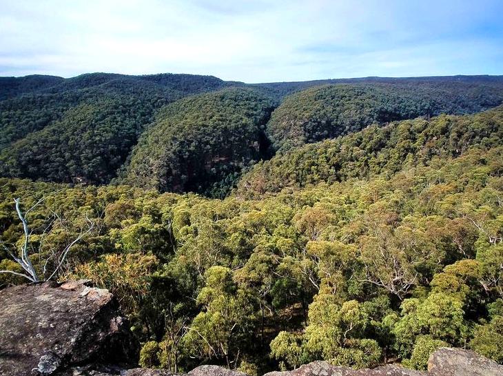 ceilingistheroof | Wollangambe Wilderness: The remote beauty of Wollangambe Wilderness.