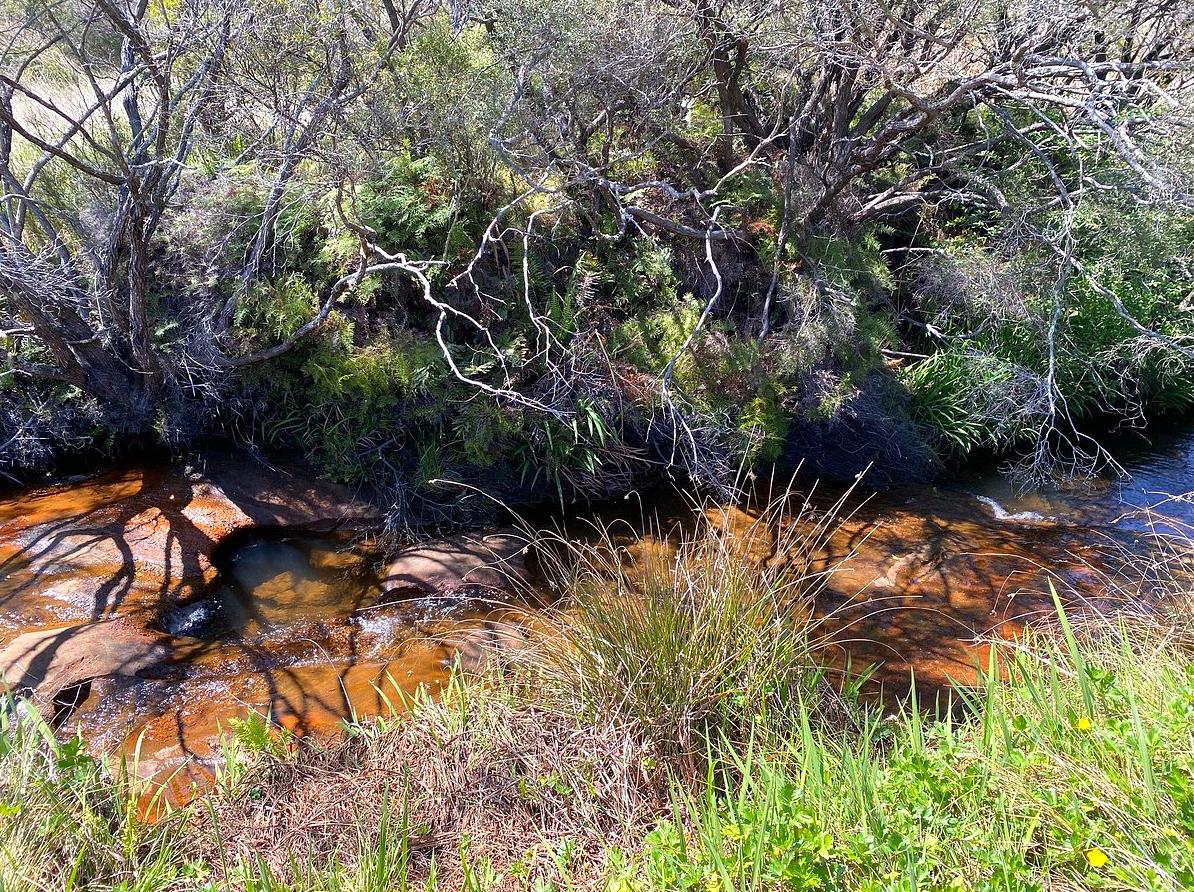 ceilingistheroof | Kedumba River Crossing: Adventure and history at Kedumba River Crossing.