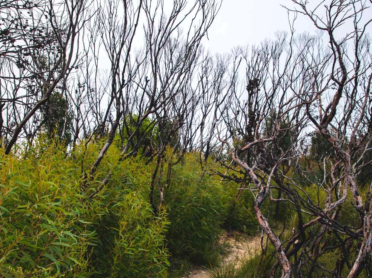 ceilingistheroof | Castle Head Lookout: Discovering the beauty of Castle Head Lookout.