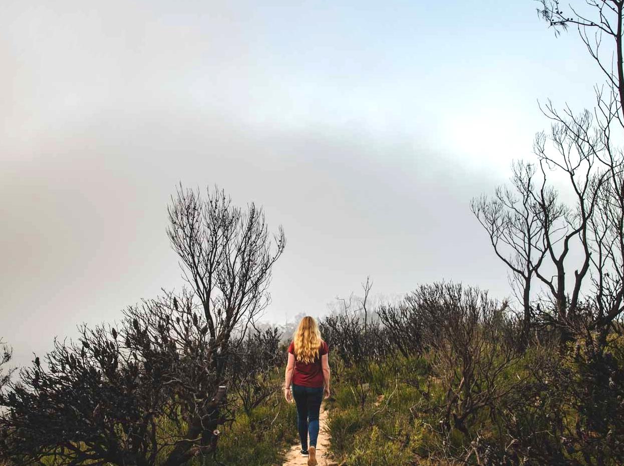 ceilingistheroof | Castle Head Lookout: Discovering the beauty of Castle Head Lookout.